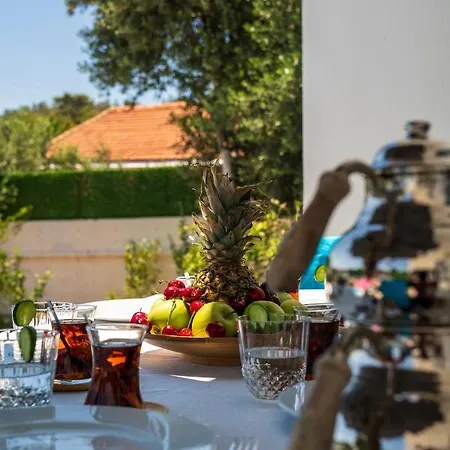 Kavak Holland Ferienhaus *